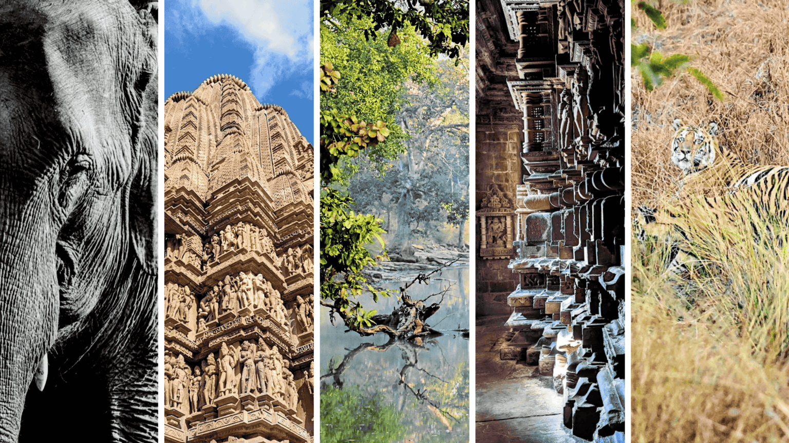 Central India featuring Khajuraho temples, dense forests, and tribal heritage